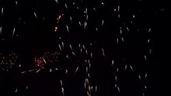 Beautiful Firework Blooming Stock Footage