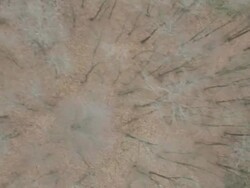 Aerial W/S, Atmospheric Forest in autumn Stock Footage