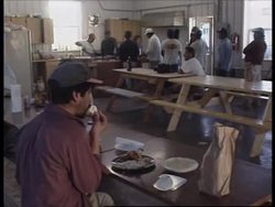 USA: MIGRANTS WORKERS HEALTH CARE News Clip