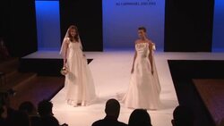 Classic, clean lines the latest fashion trends at wedding show News Clip