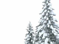 HD: From sky to forest Stock Footage