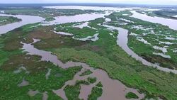 Aerial View over Swampy wetlands of Twisted and Turning Rivers and Streams and Wet system flowing into the Gulf of Mexico Stock Footage