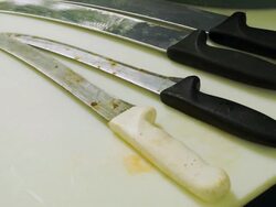 Market For Alligator Meat Booms In Florida Stock Footage