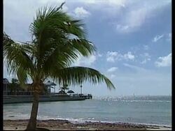 USA: FLORIDA KEYS PREPARES FOR HURRICANE GEORGE (2) Instructional Video