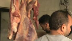 CAIRO MEAT BOYCOTT CAMPAIGN News Clip