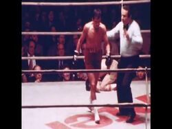 SYND 3 12 77 Carlos Zarate retaines World Boxing Council bantamweight crown flooring Juan Rodriguez News Clip