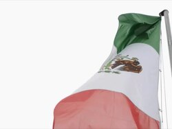 Mexican flag isolated on white background, fluttering (HD720p) Stock Footage