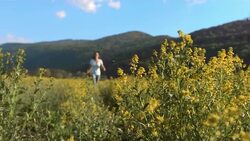 HD Super Slow-Mo: Woman Walking Through Field Stock Footage