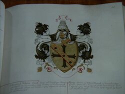 Coat of Arms of Vice Admiral Lord Horatio Nelson, England, UK Stock Footage