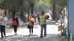 CLEAN: Mexicans mark Day of the Dead in color News Clip