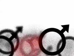 MALE : one red, white back - (TRANSITION) Stock Footage