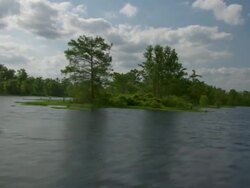 MS POV Shot of Atchafalaya Basin swamp / Atchafalaya Basin, Louisiana, United States Stock Footage