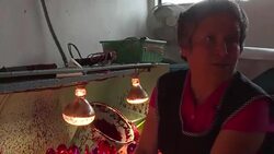 CLEAN : Christmas all year in Mexico ornament village News Clip