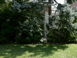 Man mowing grass with lawnmower Stock Footage