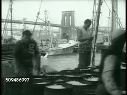 Fulton fish Market and criminals Instructional Video
