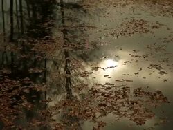 Preparations For The 70th Anniversary Of The Liberation Of Auschwitz-Birkenau Stock Footage