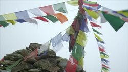 Flags in the wind Stock Footage