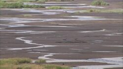 A bulldozer and dump truck excavate an asphalt lake in Trinidad. Stock Footage