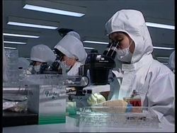 SINGAPORE: WTO CONFERENCE: INFORMATION TECHNOLOGY AGREEMENT News Clip