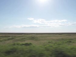 Tracking shot of grasslands Stock Footage