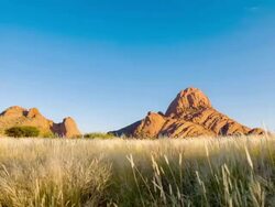 WS DS Namibian Grass Area Stock Footage