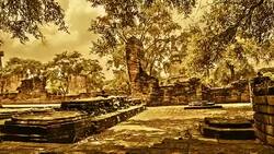 Ayutthaya Historical Park Stock Footage