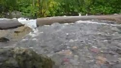 Flow of water Stock Footage