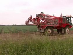 Farmland irrigation by travelling sprinkler News Clip