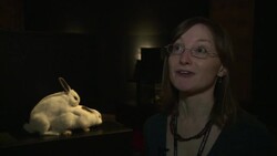 VOICED: London museum goes wild with animal sex show News Clip