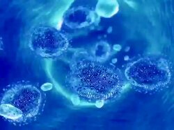 Virus traveling down 3D vein tube Stock Footage