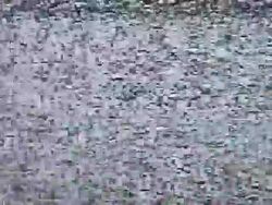 Tv Lines Loop Stock Footage