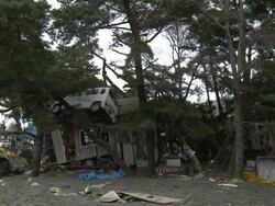 Destruction caused by tsunami after magnitude 9 Tohoku earthquake, north east Japan, March 2011. Car lies halfway up a tree amoung debris from tsunami Stock Footage