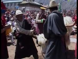 WRAP Celebrations on 50th anniversary of Everest conquest News Clip