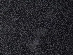 Salt crystallizing Stock Footage