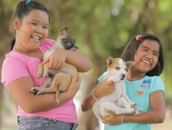 girls and puppy in the garden Stock Footage