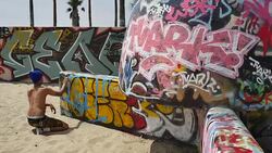 Graffiti covers the Public Art Walls, surrounded by palm trees, near the beach at the Pacific Ocean in Venice, California. Stock Footage