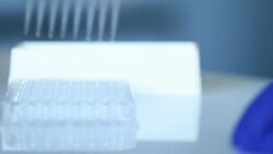 Scientist transfer mix small volume liquids within 96 well dishes Stock Footage