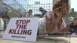 Protest in Seoul against consumption of dog meat News Clip