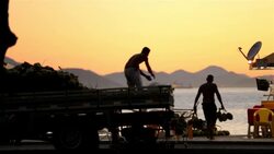 Copacabana beach vendors unload coconuts from truck at dawn Stock Footage