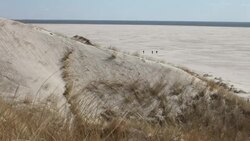 Endless beach Stock Footage