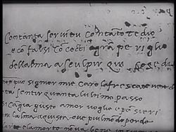 Michelangelo Instructional Video