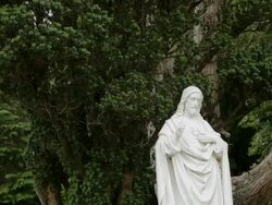 MH LD Stone Statue of Jesus Christ in front of Tree / Ireland Stock Footage