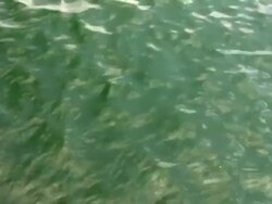 Wave Series Stock Footage