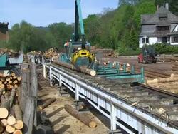 MS PAN Cut log moving through log lift crane in lumberyard at saw mill / Schweich, Rhineland Palatinate, Germany Stock Footage