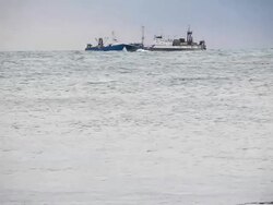 fishing season Stock Footage