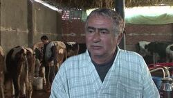 VOICED: Major foot-and-mouth outbreak in Egypt thr News Clip