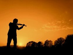 HD: Playing The Violin At Sunset Stock Footage