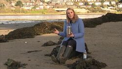 Ocean Rescue - Impact of Microplastics in Clothing Fibres on the Ocean News Clip