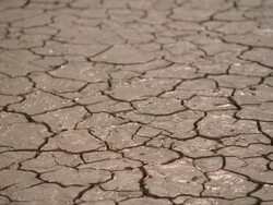  MS Wet cracks on arid desert / Mojave, California, USA Stock Footage