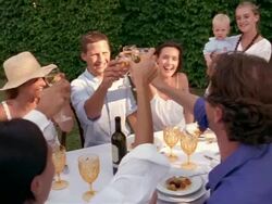 Group of people having drinks and meal outdoors / talking and toasting wine glasses / Saint-Ferme, France Stock Footage